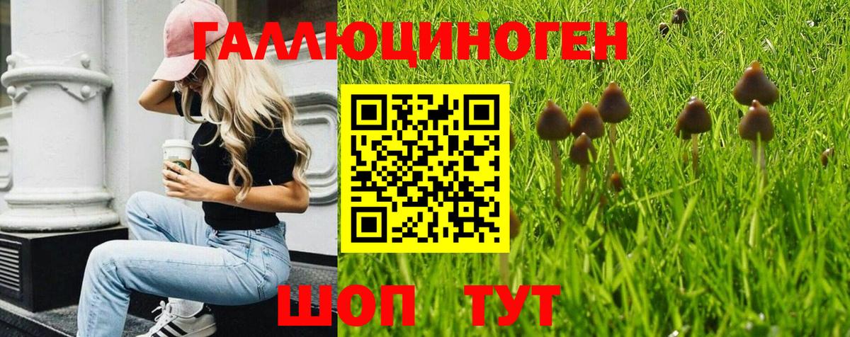 Псилоцибиновые грибы мухоморы  Вход с VPN  где можно купить наркотик  Энгельс 