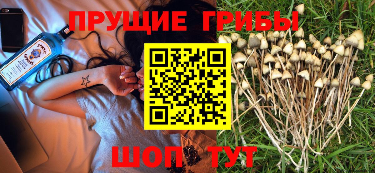 Галлюциногенные грибы ЛСД Энгельс